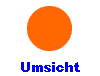 Umsicht