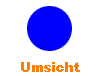 Umsicht