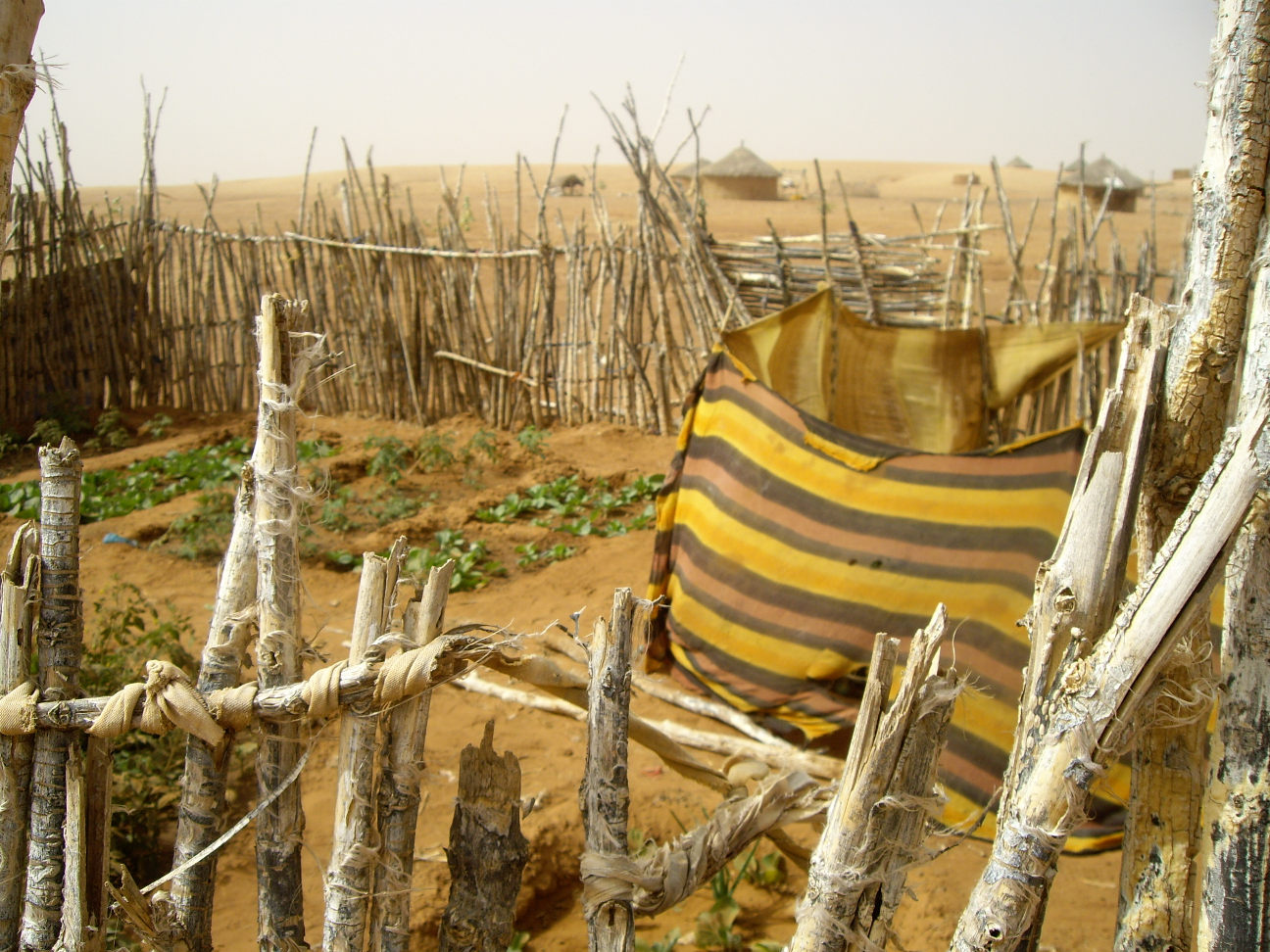 sahelgarten sahelgarten